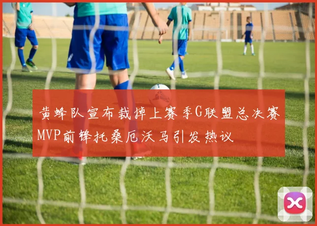黄蜂队宣布裁掉上赛季G联盟总决赛MVP前锋托桑厄沃马引发热议