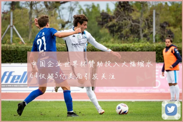 中国企业世界杯赞助投入大幅缩水64仅超5亿美元引发关注