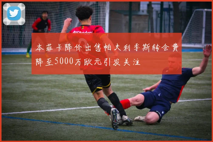 本菲卡降价出售帕夫利季斯转会费降至5000万欧元引发关注
