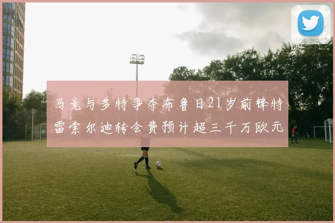 马竞与多特争夺布鲁日21岁前锋特雷索尔迪转会费预计超三千万欧元