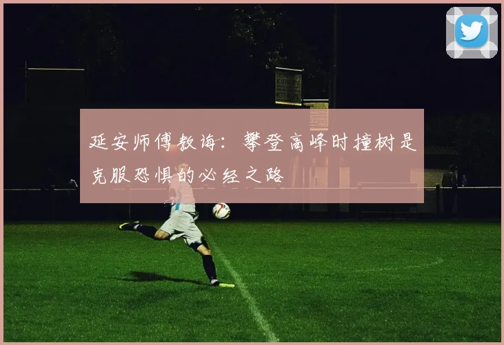 延安师傅教诲：攀登高峰时撞树是克服恐惧的必经之路